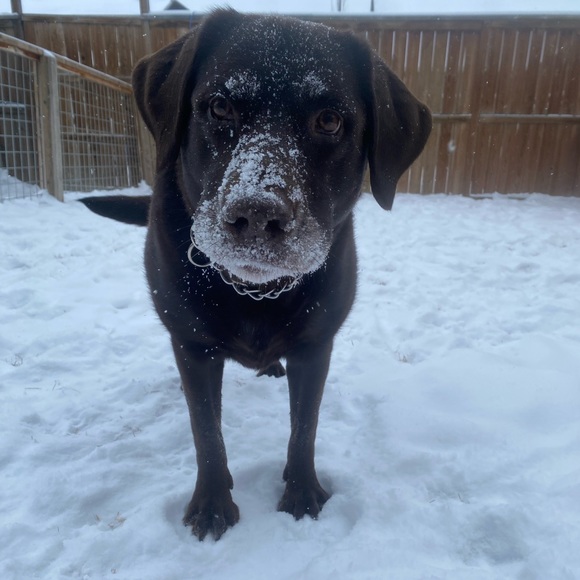 Meet your Posher, Taylee - Picture 2 of 4